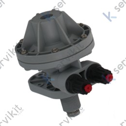 Bomba dosificadora abrillantador